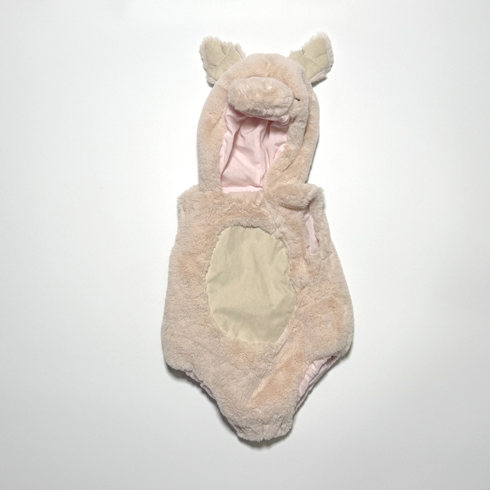 Pottery Barn Kids Beige and Pink Costume